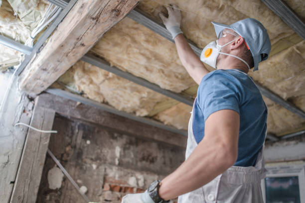 Best Insulation Maintenance and Repair in Oviedo, FL