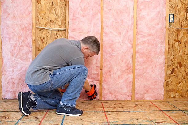 Best Insulation Installation Services in Oviedo, FL